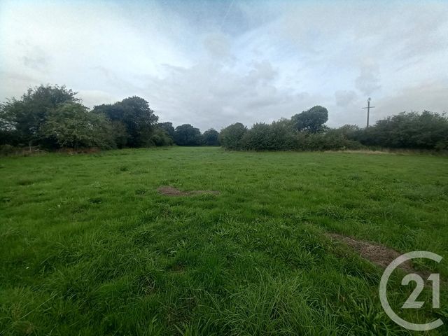 Maison &agrave; vendre - 6 pi&egrave;ces - 142 m2 - Benoitville - 50 - BASSE-NORMANDIE