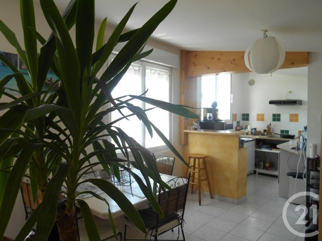 appartement - CHERBOURG EN COTENTIN - 50